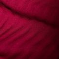 Mammut női trekking dzseki Taiss Light ML vérvörös/tengeri tengerészet 10