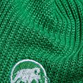 Téli sapka Mammut Sublime pine 2
