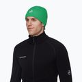 Téli sapka Mammut Sublime pine 3