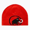Téli sapka Mammut Logo black 4