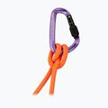 Karabély Mammut Classic HMS Screwgate screw gate/alpine calamint 2