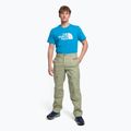 Férfi trekking nadrág The North Face Routeset bézs NF0A5J7Y3X31 2