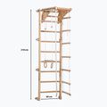 RINAGYM Eco-Pine torna létra 6