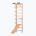 RINAGYM SPR A+SLIDE torna létra 2