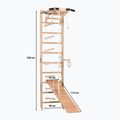 RINAGYM SPR A+SLIDE torna létra 3