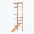 RINAGYM SPR B+SLIDE torna létra 3