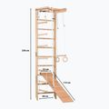 RINAGYM SPR B+SLIDE torna létra 10
