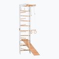 RINAGYM SPR B+SLIDE torna létra