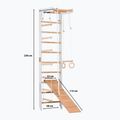 RINAGYM SPR B+SLIDE torna létra 2