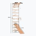 RINAGYM SPR A+SLIDE torna létra 2