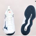 Férfi röplabda cipő Mizuno Wave Dimension fehér V1GA22224022 12