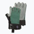 Női hegymászó kesztyű Black Diamond Crag Half-Finger BD8018683028XS