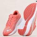 PUMA Aviator Profoam Sky 12 futócipő rózsaszín 376615 12 15