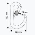 Karabiner CAMP Atom Lock black 3