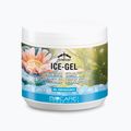 Veredus jéggél 500 ml COG05