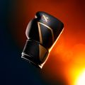 Bokszkesztyűk Hayabusa E1 Boxing black/gold 8