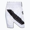 Férfi edző rövidnadrág Hayabusa Core Fight white 3