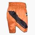 Férfi edző rövidnadrág Hayabusa Core Fight orange 3