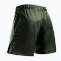 Férfi edző rövidnadrág Hayabusa Apex Fight 3/4 green 2