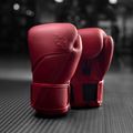 Bokszkesztyűk Hayabusa E1 Leather red 5