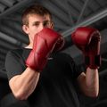 Bokszkesztyűk Hayabusa E1 Leather red 6