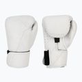 Bokszkesztyűk Hayabusa T360 Leather white