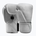 Bokszkesztyűk Hayabusa T360 Leather white