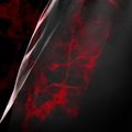 Férfi edző rövidnadrág Hayabusa X UFC BJJ Grappling red 4