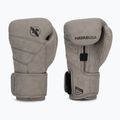 Hayabusa T3 LX pala boxkesztyű