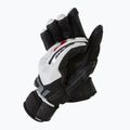 Férfi sí kesztyű Dainese Hp lily white/stretch limo