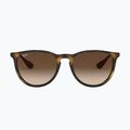 Napszemüveg Ray-Ban Erika Classic matt havana/brown 2