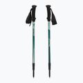 Túrabotokok  Fizan Trek Pro dark green 5