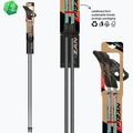 Nordic walking botok Fizan Carbon Pro Impulse grey 6