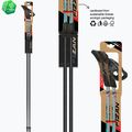Nordic walking botok Fizan Tekno Impulse grey 6