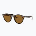 Napszemüveg Ray-Ban RB2180 light havana/brown polarized 4