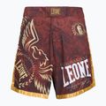 MMA rövidnadrág LEONE 1947 Legionarivs II bordeaux-i 5