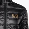 Férfi dzseki EA7 Emporio Armani Train Core ID Down Light black/gold logo 8