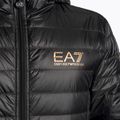 Férfi dzseki EA7 Emporio Armani Train Core ID Down Light Hoodie black/gold logo 3