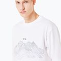 Férfi Oakley Wired Mtn Scape Tee fehér 5