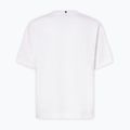 Férfi Oakley Wired Mtn Scape Tee fehér 8