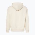 Férfi Oakley MTL PO PO Hoodie ködös 2
