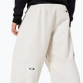 Férfi snowboardnadrág Oakley Channel Cargo mist 7