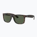 Napszemüveg Ray-Ban Justin Classic havana/sötétzöld polarizált 4