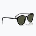 Napszemüveg Ray-Ban Bernard black/green g-15