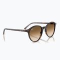Napszemüveg Ray-Ban Bernard havana/brown gradient