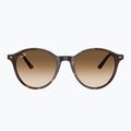 Napszemüveg Ray-Ban Bernard havana/brown gradient 2