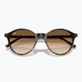 Napszemüveg Ray-Ban Bernard havana/brown gradient 3