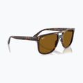 Napszemüveg Ray-Ban RB2213 havana/brown b-15