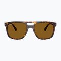 Napszemüveg Ray-Ban RB2213 havana/brown b-15 2