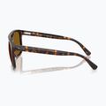 Napszemüveg Ray-Ban RB2213 havana/brown b-15 6